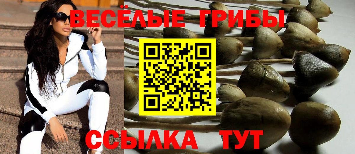 Каспийск  Псилоцибиновые грибы Cubensis  Вход с VPN 
