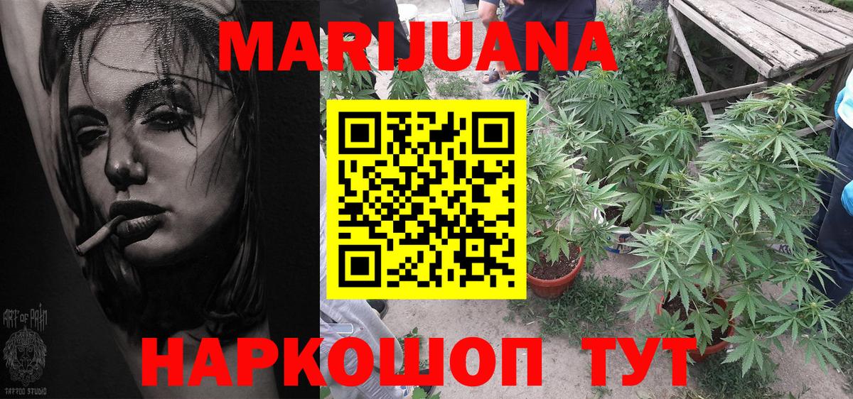 Канабис сатива Каспийск